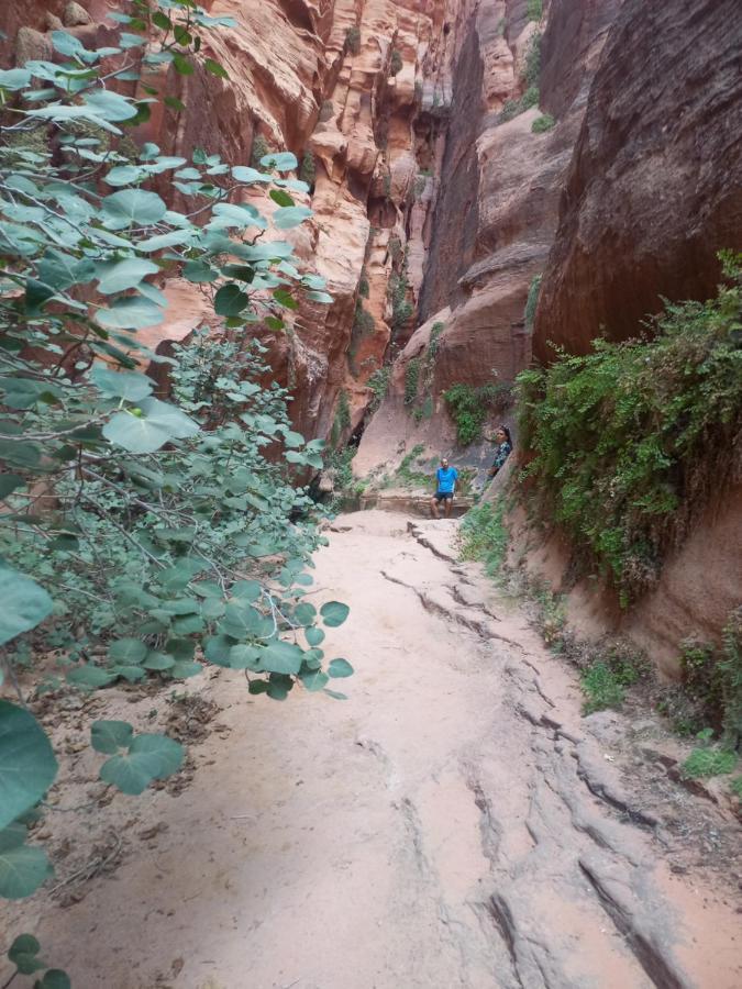 Wadi Rum Secrets Camp 外观 照片