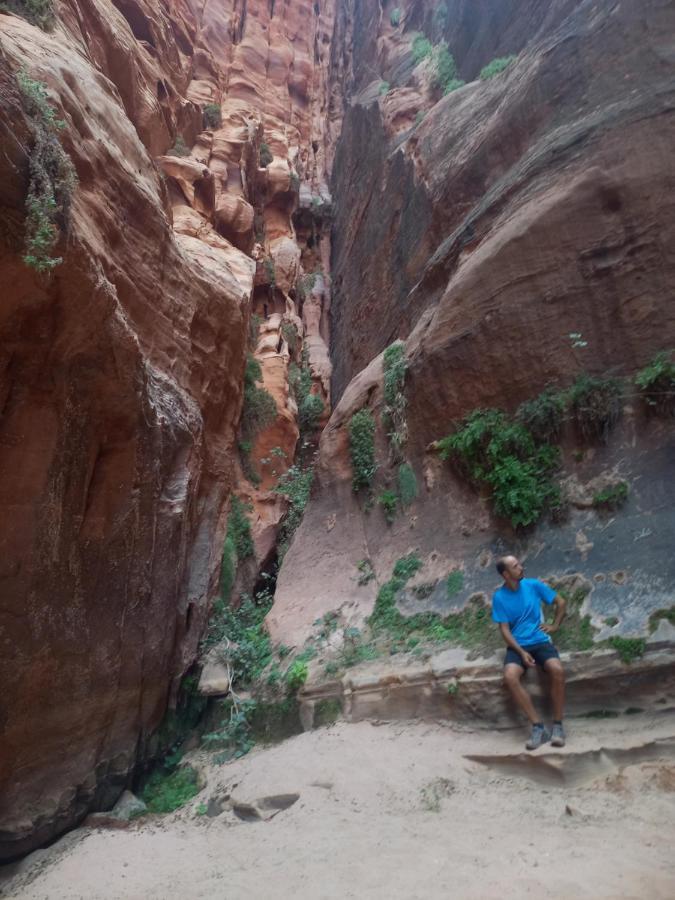 Wadi Rum Secrets Camp 外观 照片